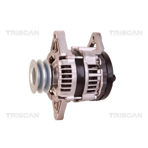 Alternátor 8310 10095 /TRISCAN/ - obr. 6