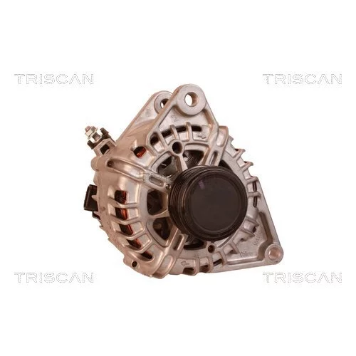 Alternátor 8310 10112 /TRISCAN/ - obr. 4