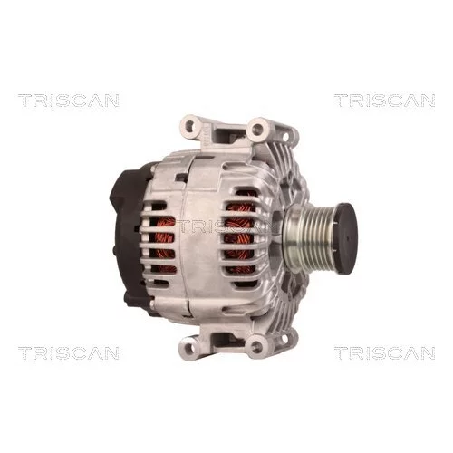 Alternátor 8310 10124 /TRISCAN/ - obr. 3