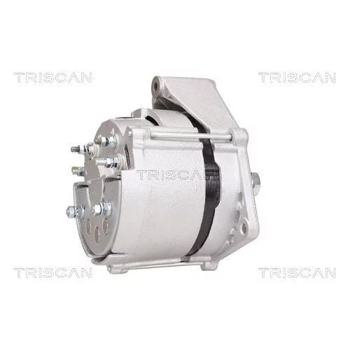 Alternátor 8310 10133 /TRISCAN/ - obr. 5