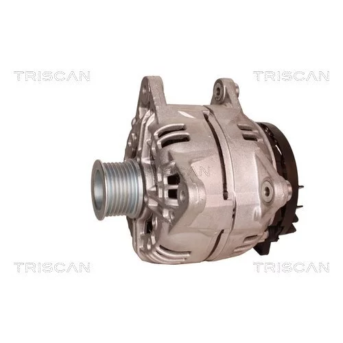 Alternátor 8310 10150 /TRISCAN/ - obr. 6