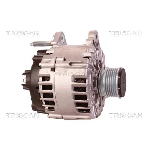 Alternátor 8310 10165 /TRISCAN/ - obr. 3