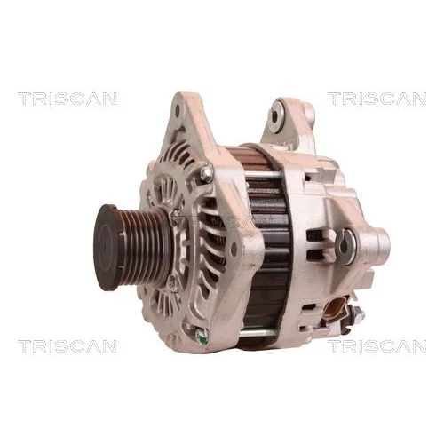 Alternátor 8310 11030 /TRISCAN/ - obr. 6