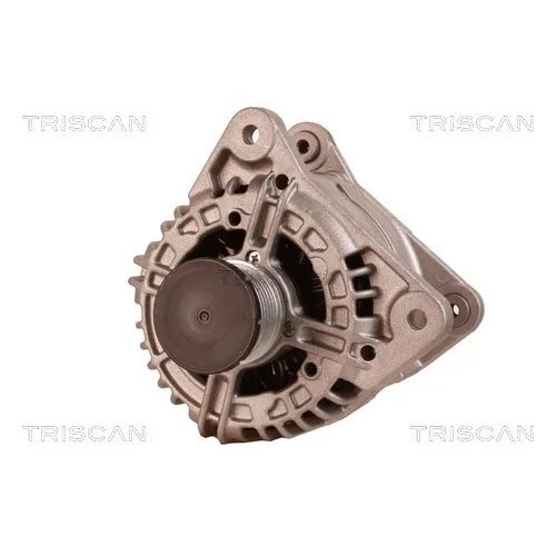 Alternátor 8310 13048 /TRISCAN/ - obr. 5
