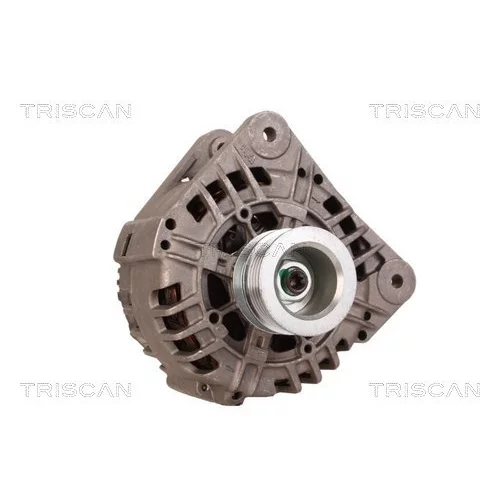 Alternátor 8310 13049 /TRISCAN/ - obr. 4