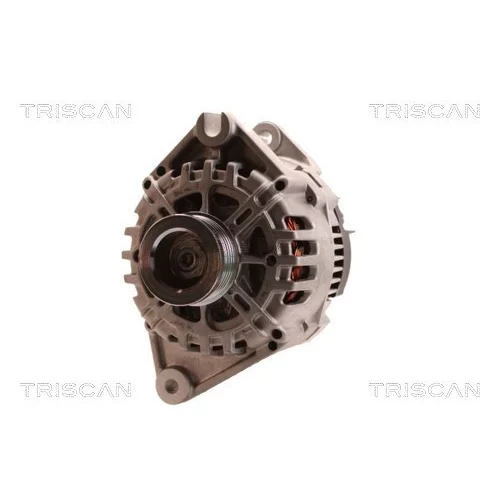 Alternátor 8310 13054 /TRISCAN/ - obr. 5