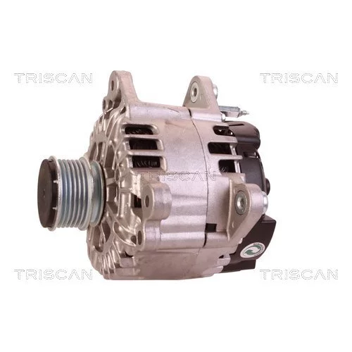 Alternátor 8310 13062 /TRISCAN/ - obr. 6