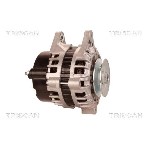 Alternátor 8310 14003 /TRISCAN/ - obr. 3