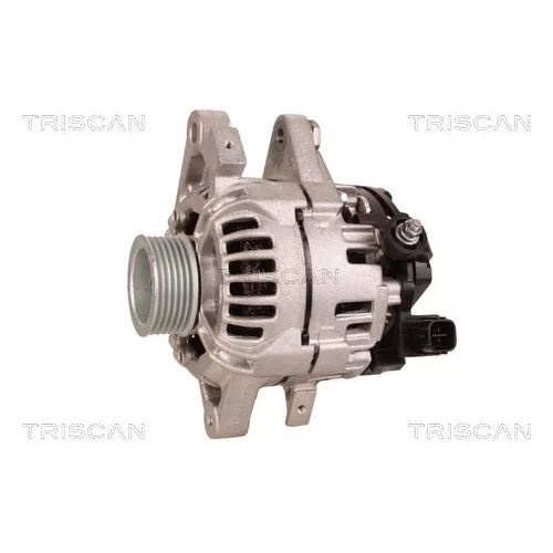 Alternátor 8310 14004 /TRISCAN/ - obr. 6