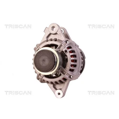 Alternátor 8310 15019 /TRISCAN/ - obr. 5