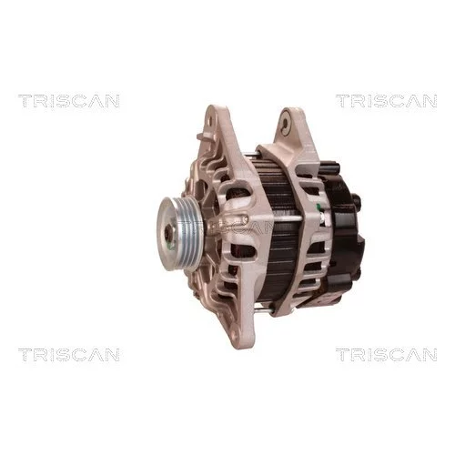 Alternátor 8310 16002 /TRISCAN/ - obr. 6