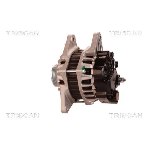 Alternátor 8310 16002 /TRISCAN/ - obr. 7
