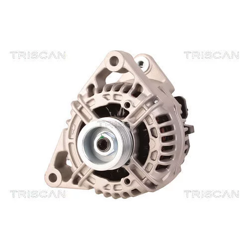 Alternátor 8310 16010 /TRISCAN/ - obr. 5