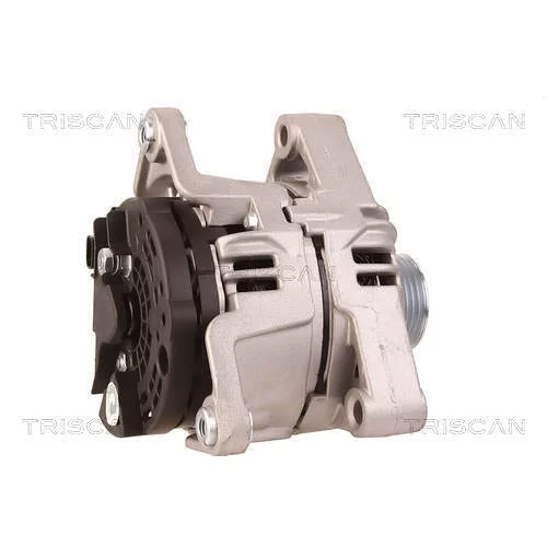 Alternátor 8310 16011 /TRISCAN/ - obr. 2