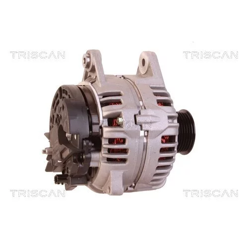 Alternátor 8310 16032 /TRISCAN/ - obr. 2