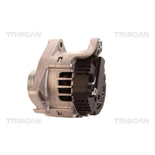 Alternátor 8310 16033 /TRISCAN/ - obr. 7