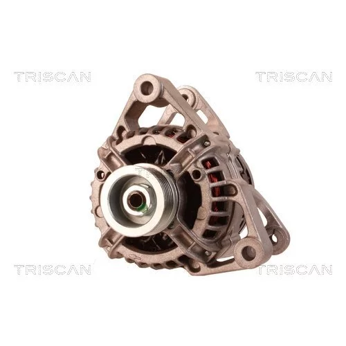 Alternátor 8310 23057 /TRISCAN/ - obr. 5