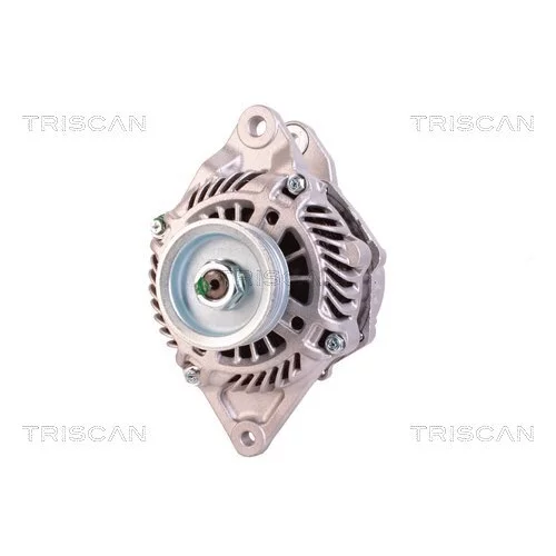 Alternátor 8310 24014 /TRISCAN/ - obr. 5