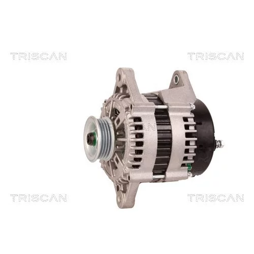 Alternátor 8310 24017 /TRISCAN/ - obr. 6
