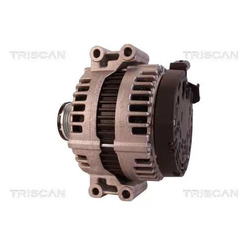 Alternátor 8310 24021 /TRISCAN/ - obr. 7