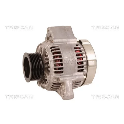 Alternátor 8310 25025 /TRISCAN/ - obr. 6