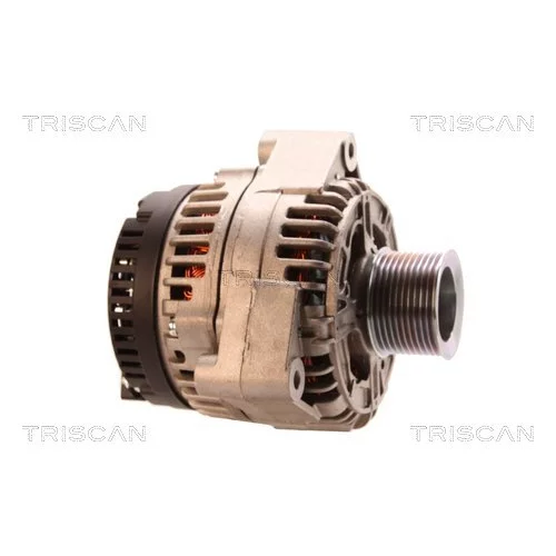 Alternátor 8310 29024 /TRISCAN/ - obr. 3
