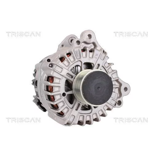Alternátor 8310 29025 /TRISCAN/ - obr. 4
