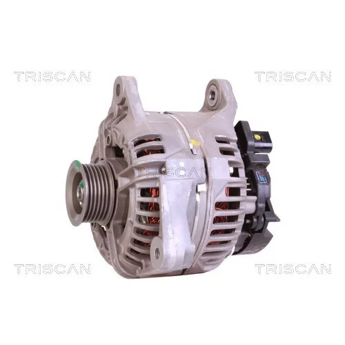 Alternátor 8310 29031 /TRISCAN/ - obr. 6