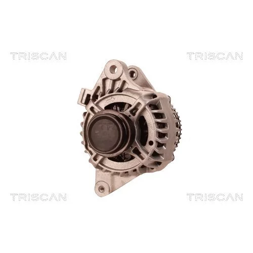 Alternátor 8310 29074 /TRISCAN/ - obr. 5