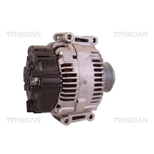 Alternátor 8310 29096 /TRISCAN/ - obr. 2