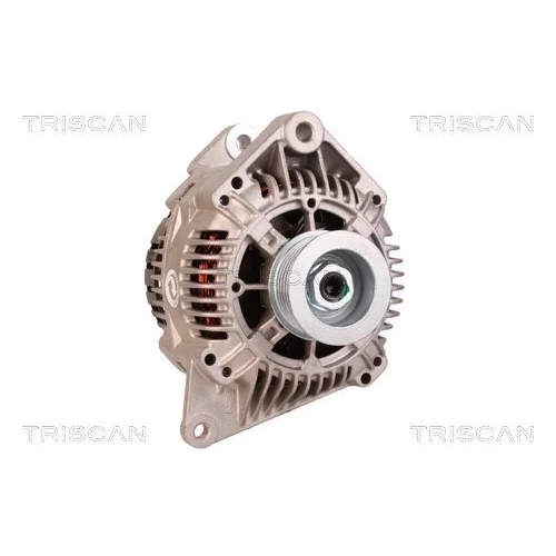 Alternátor 8310 43040 /TRISCAN/ - obr. 4