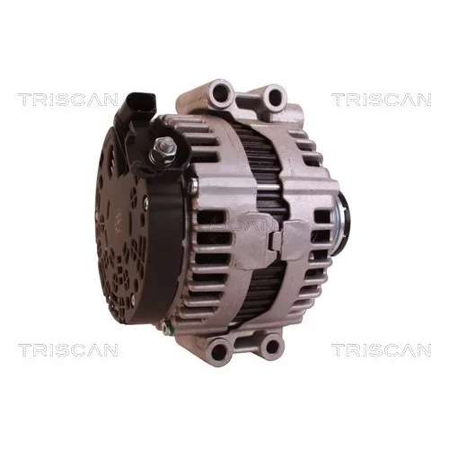 Alternátor 8310 68005 /TRISCAN/ - obr. 2