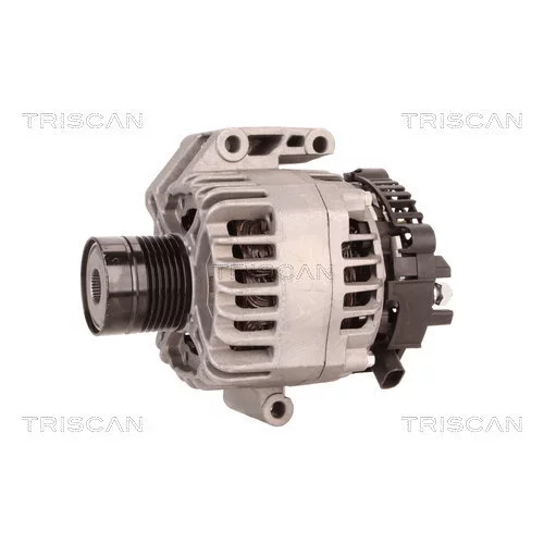 Alternátor 8310 69009 /TRISCAN/ - obr. 6