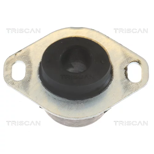 Uloženie motora 8505 10122 /TRISCAN/ - obr. 1