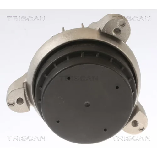 Uloženie motora 8505 11117 /TRISCAN/ - obr. 1