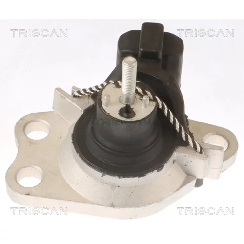 Uloženie motora 8505 25100 /TRISCAN/ - obr. 1