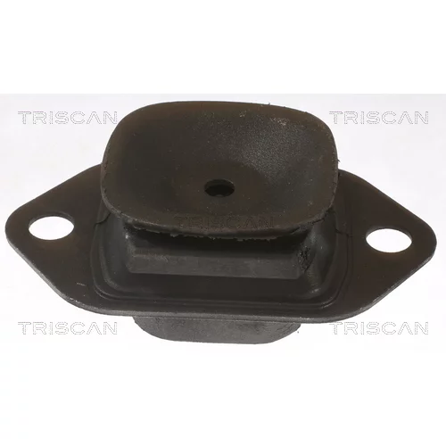 Uloženie motora 8505 25119 /TRISCAN/ - obr. 1