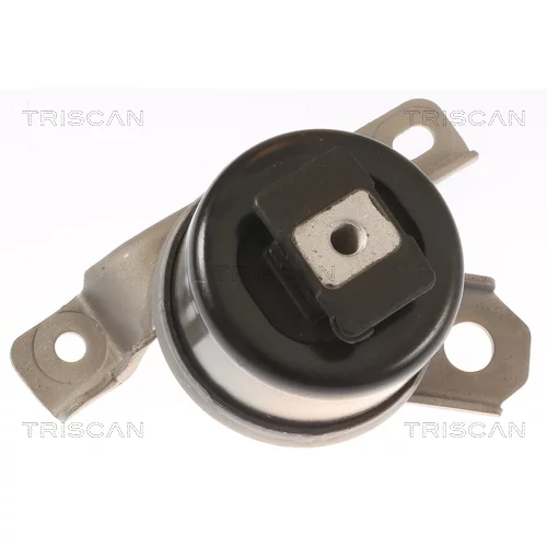 Uloženie motora TRISCAN 8505 27107