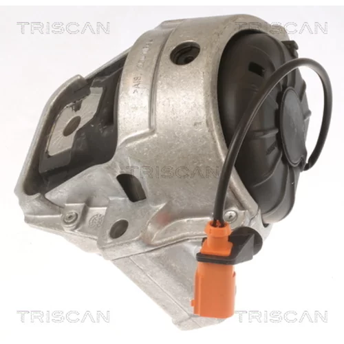 Uloženie motora TRISCAN 8505 29178