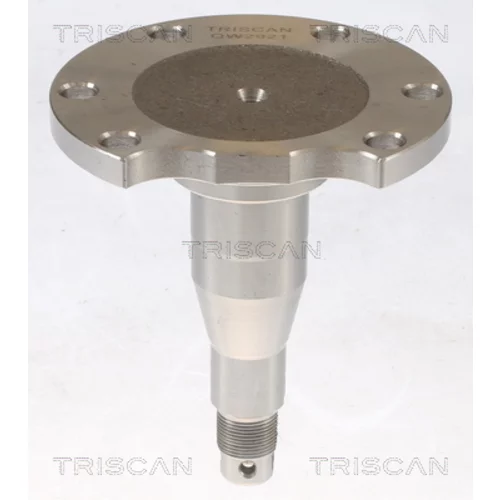 Náboj kolesa 8535 29010 /TRISCAN/ - obr. 1
