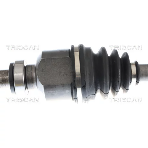 Hnací hriadeľ 8540 10572 /TRISCAN/ - obr. 2