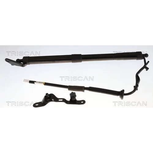 Pneumatická pružina, Batožinový/nákladný priestor TRISCAN 8710 13306