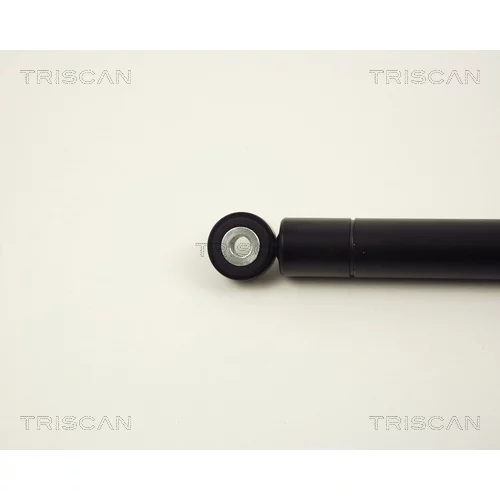 Tlmič vibrácií rebrovaného klinového remeňa 8710 2313 /TRISCAN/ - obr. 1