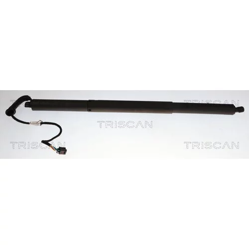 Pneumatická pružina, Batožinový/nákladný priestor TRISCAN 8710 29338