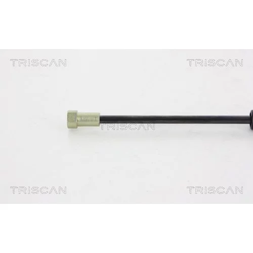 Pneumatická pružina, Batožinový/nákladný priestor 8710 38226 /TRISCAN/ - obr. 2