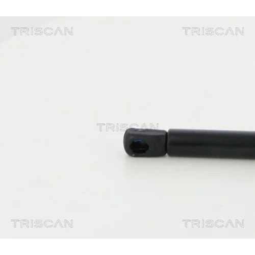 Pneumatická pružina, Batožinový/nákladný priestor 8710 38246 /TRISCAN/ - obr. 1