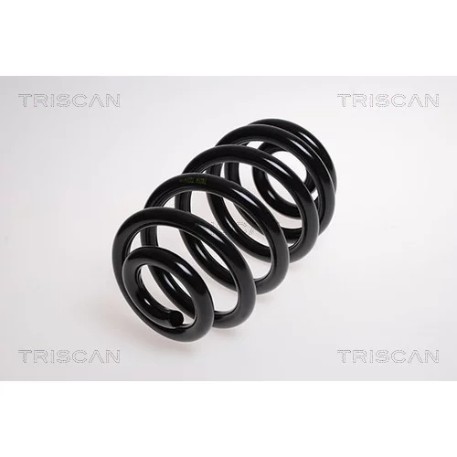Pružina podvozku TRISCAN 8750 1187