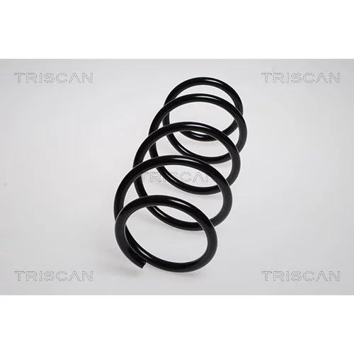 Pružina podvozku TRISCAN 8750 2563