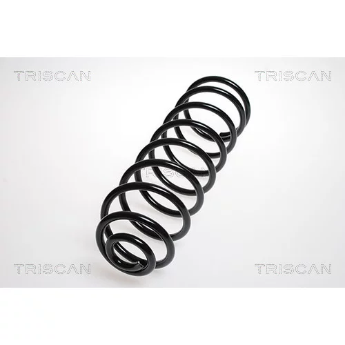 Pružina podvozku TRISCAN 8750 2768
