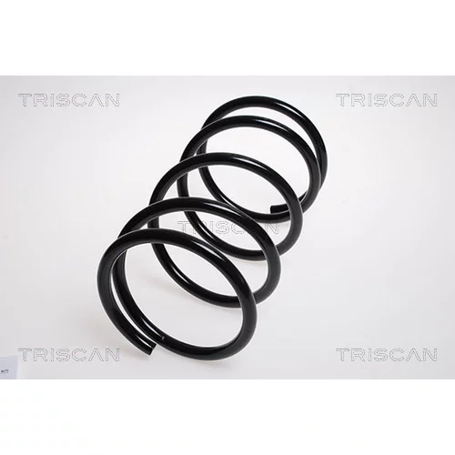 Pružina podvozku TRISCAN 8750 4257